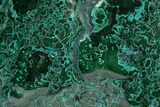 Vibrant Polished Malachite with Chrysocolla - DR Congo #320439-3